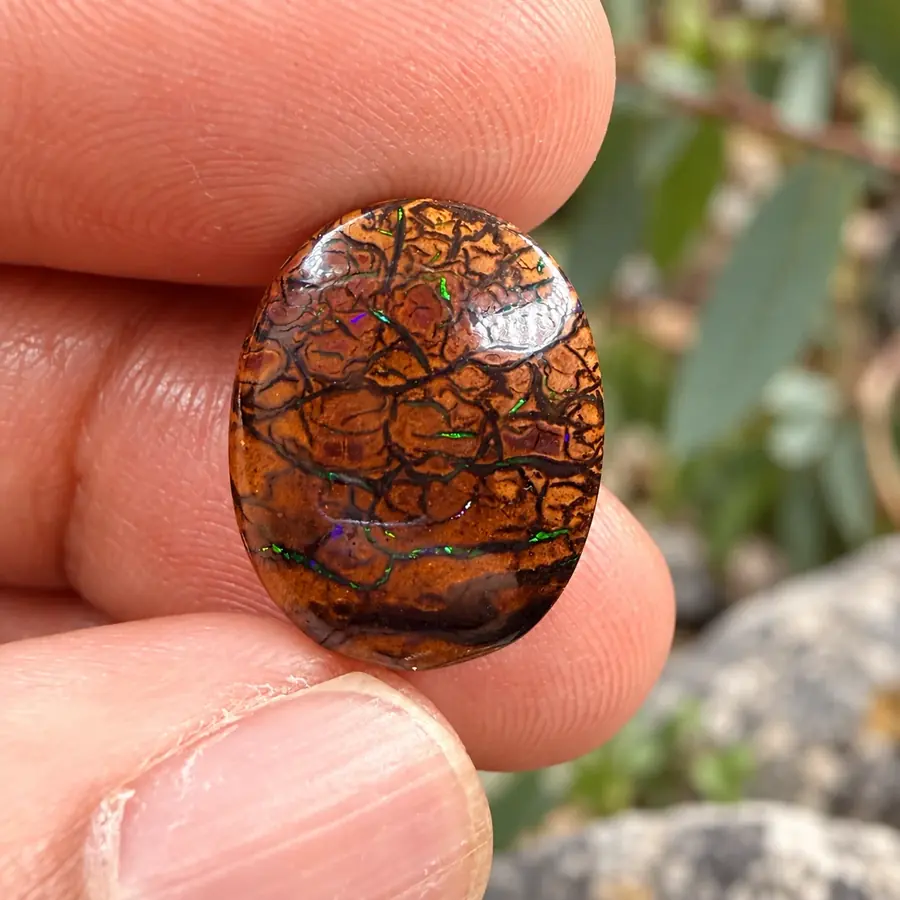 Queensland boulder opal showing precious opal within ironstone